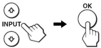 INPUT OK