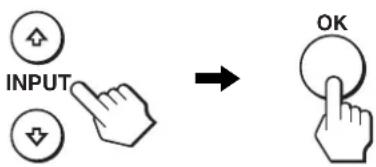 INPUT OK