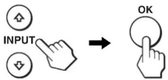 INPUT OK