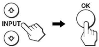 INPUT OK