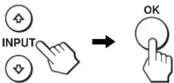 INPUT OK