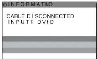 INFORMATNO CABLE DISCONNECTED INPUT1 DVD