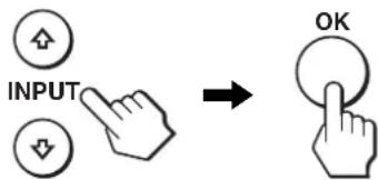 INPUT OK