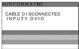 INFORMATNO CABLE DISCONNECTED INPUT1 DVD
