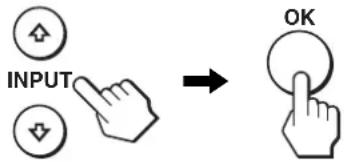 INPUT OK