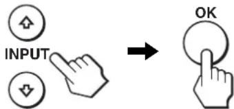 INPUT OK