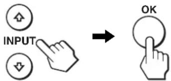 INPUT OK
