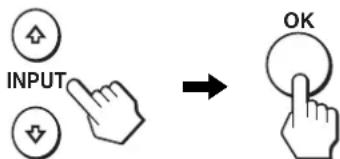 INPUT OK