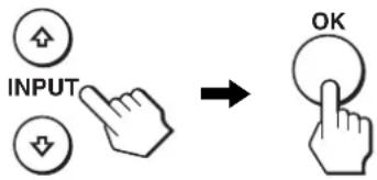 INPUT OK