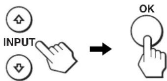 INPUT OK