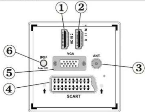 ① ② HDMI 2 D M M 1 SPOIF VGA ANT. CaseOUT ③ ⑥ ⑤ SCART ④