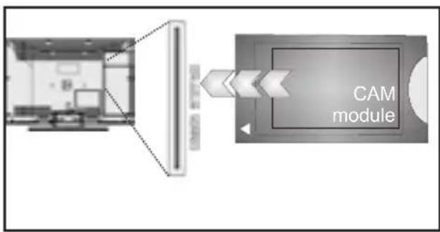 Finlux 32FLK242BW - Använda en modul för villkorlig åtkomst - 2