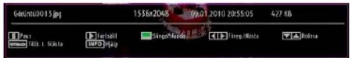 Géruntu0015.jpg 1536x2048 09.01 2010 20:55:05 427 KB Tape 100% 1.5kPa FortaBolt MPO Singaherdo Fareg.Mesto Rodrigo