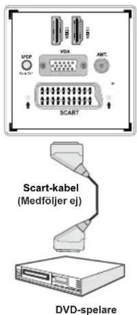 SCART Scart-kabel (Medföljer ej) DVD-spelare