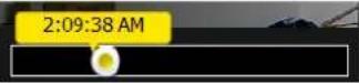 Vivotek NR8401 - 2-2-7. Alarm panel - 15
