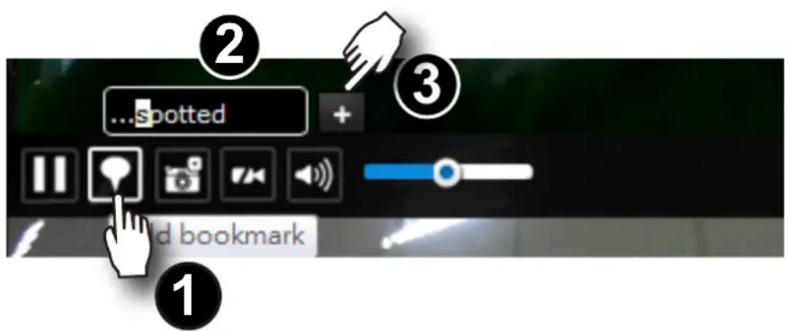 spotted 1 and bookmark