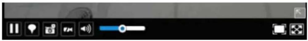 Screenshot of a software toolbar with icons for audio, video, audio playback, and control buttons