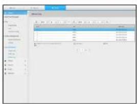 Screenshot of a software interface showing a data table with columns and values, likely from an older file or system.