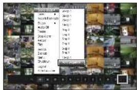 Screenshot of a software interface showing a dropdown menu with image thumbnails and a highlighted 'OK' button.