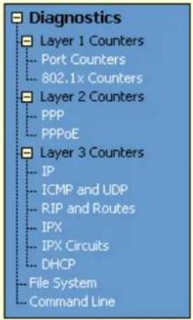 Diagnostics Layer 1 Counters Port Counters 802.1x Counters Layer 2 Counters PPP PPPoE Layer 3 Counters IP ICMP and UDP RIP and Routes IPX IPX Circuits DHCP File System Command Line
