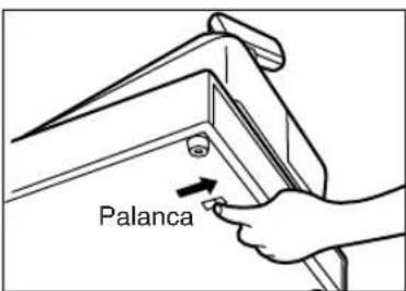Palanca