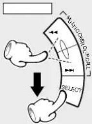 MULTICARDIAL CALL SELECT