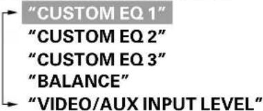 "CUSTOM EQ 1" "CUSTOM EQ 2" "CUSTOM EQ 3" "BALANCE" "VIDEO/AUX INPUT LEVEL"