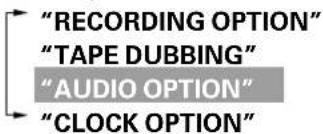 "RECORDING OPTION" "TAPE DUBBING" "AUDIO OPTION" "CLOCK OPTION"