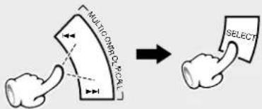 MULTI-COM C-FEAL SELECT