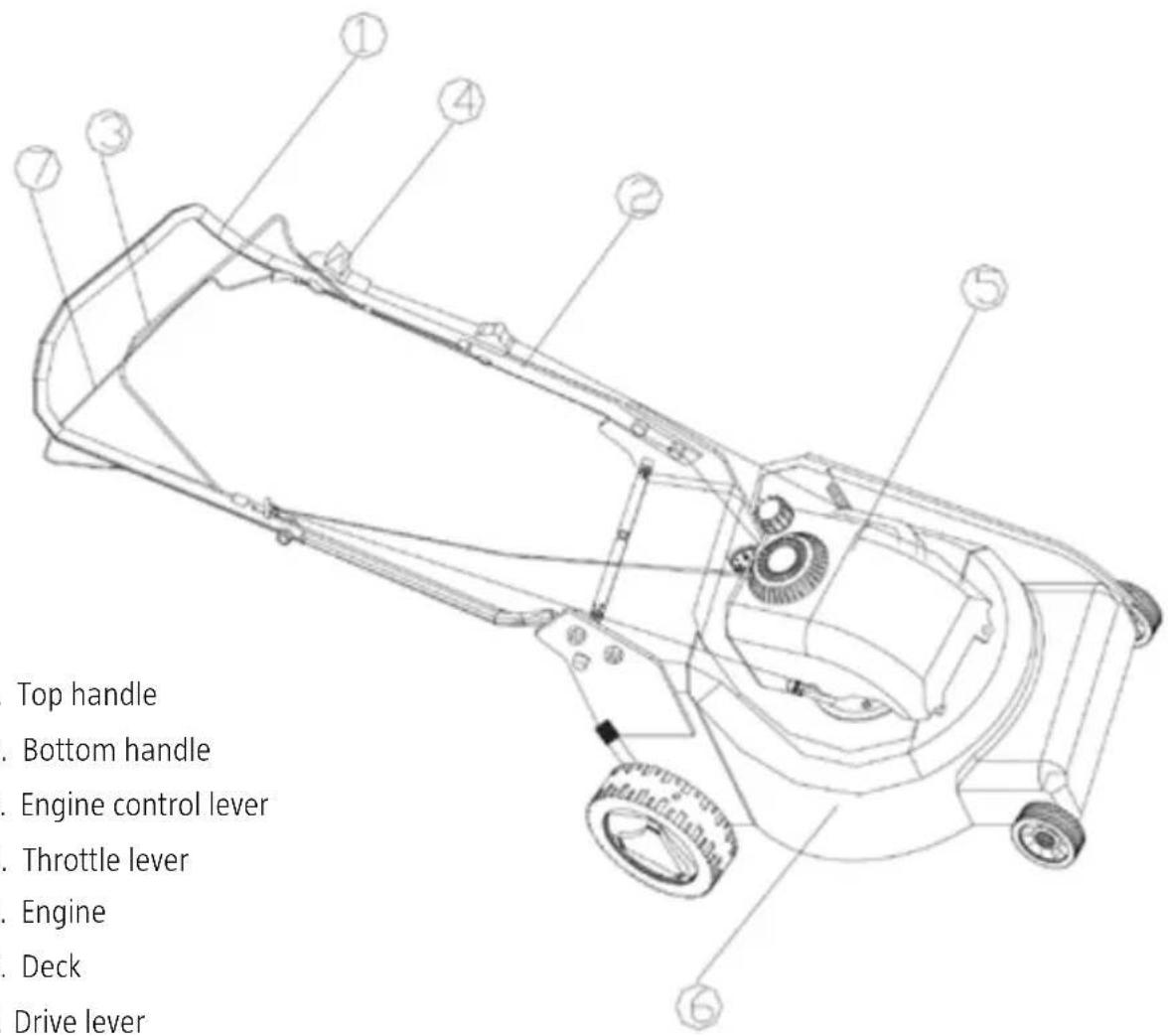 Top handle Bottom handle Engine control lever Throttle lever Engine Deck Drive lever