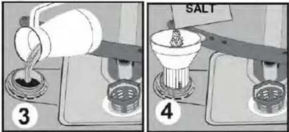 SALT 3 4