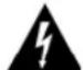 SANYO DP47460 - RISK OF ELECTRIC SHOCK DO NOT OPEN! - 1
