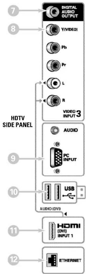 SANYO DP47460 - PC Input and Stereo Audio (Mini) - 1