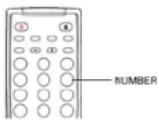 OPPO DV-981HD - Playback by Track Number - 5