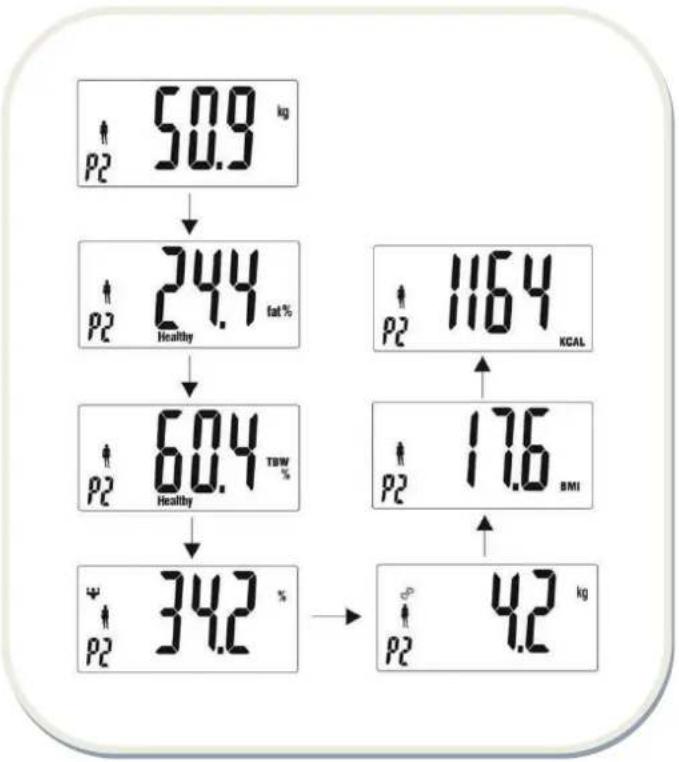 Heinner HBFS-150-TSSL - For weight, body fat, hydraon muscle, bone, BMI and Calorie percentage: - 5