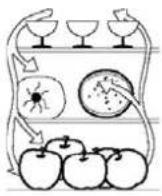 NORDMENDE RITL395A - Cold storage is for short-term food storage or for daily consumption. - 1