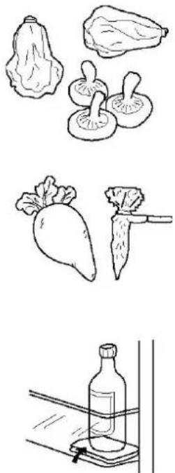 NORDMENDE RITL395A - Instructions for food storage - 1