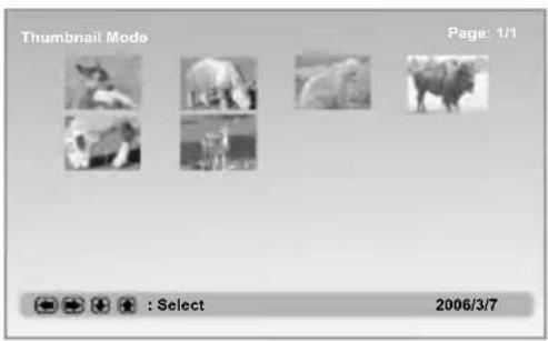 Thumbnail Mode Page: 1/1 : Select 2006/3/7