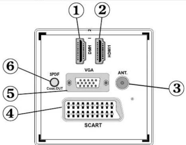 Andersson LED2640DC DVD PVR - Översikt av anslutningarna på baksidan - 1