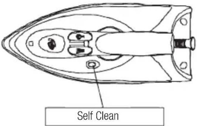 Self Clean