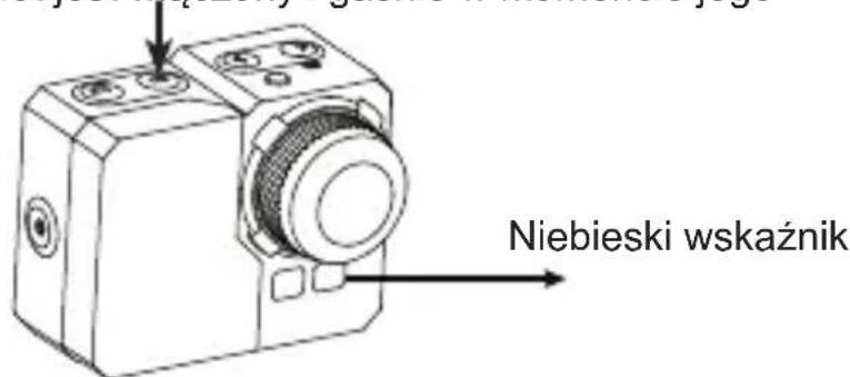 Niebieski wskaźnik