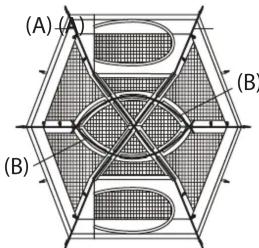 (A) (A) (B) (B)