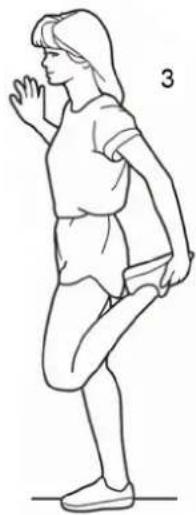 York Fitness Perform 215 - Inner Thigh Stretch - 4