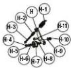 York Fitness Perform 215 - Exploded drawing - 13