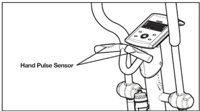 Hand Pulse Sensor
