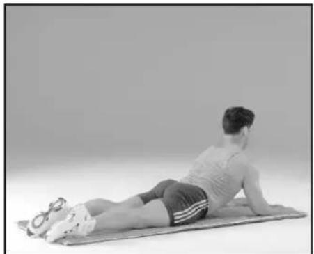 York Fitness 340P - CAT STRETCH - 1