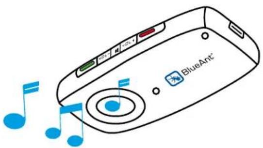 BLUEANT S1 - Streaming Music - 1