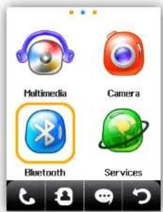 Multimedia Camera Bluetooth Services