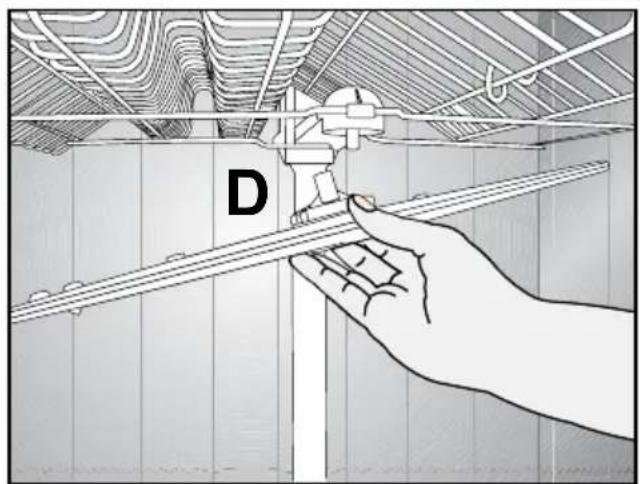D