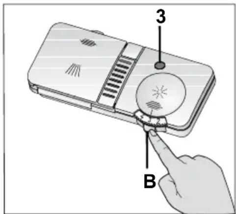 3 B